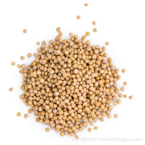 Peanut Oil Press Machine